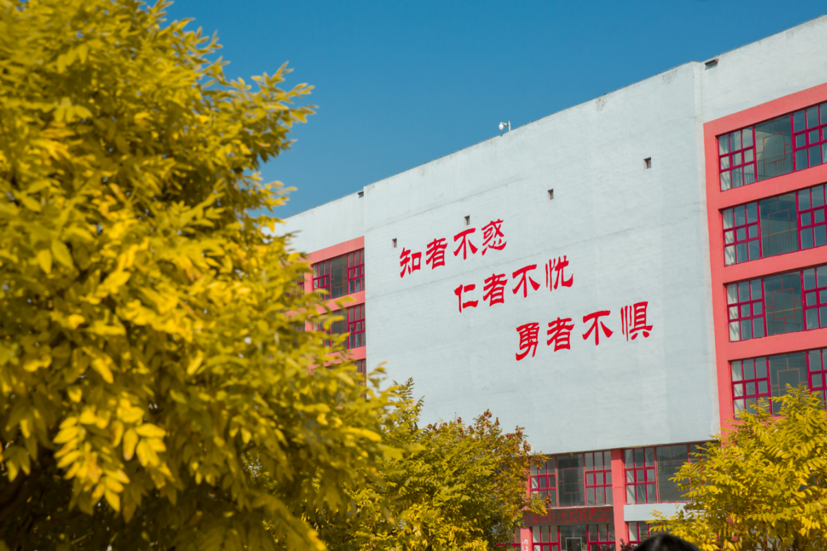 【校园秋色】信院秋景惹人醉