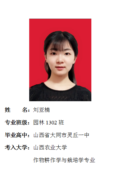 我院2017年考研形势喜人 564名同学达国家线