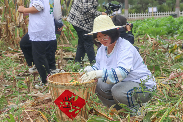 山西民办第一|华北第一所全员书院制大学⑦:以书院制链接“通专”融合渠道,培养高素质“全人”