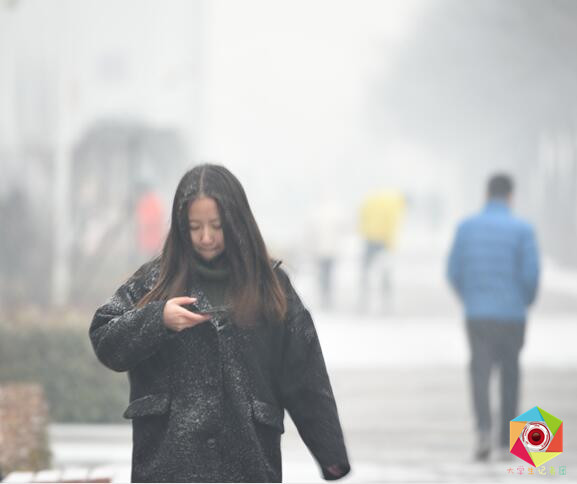 一片玉尘撩人心——记信院2016初雪