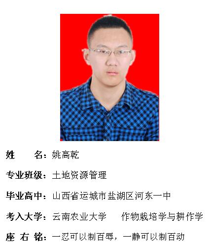 我院2017年考研形势喜人 564名同学达国家线