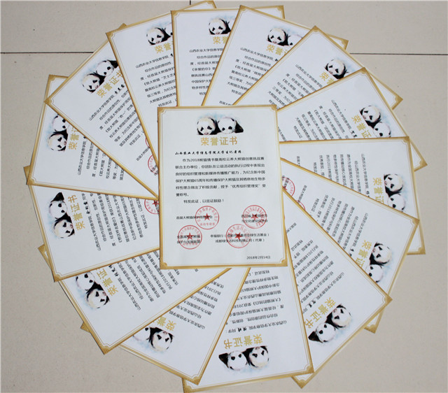 我院学子在2018熊猫情书暨高校云养大熊猫创意挑战赛中喜获佳绩