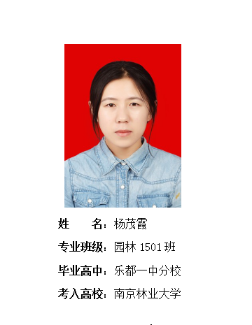我校2019年考研形势喜人 261名同学被高校录取