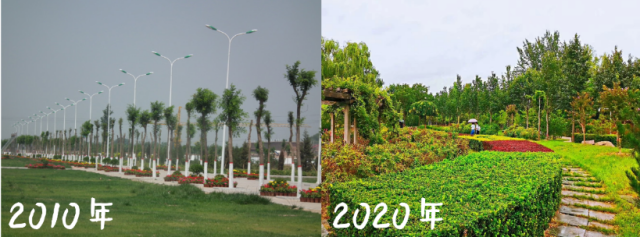 回眸与展望Ⅲ:十年情缘 我与母校共成长