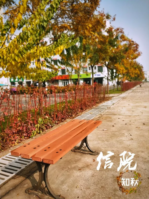 请你到信院的“秋”里来