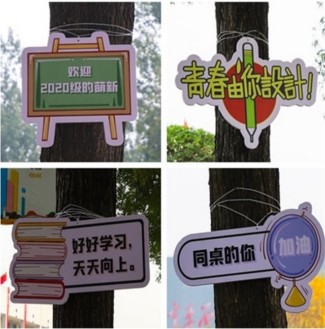相聚信院 4000余名2020级萌新的美好大学生活从这里起步