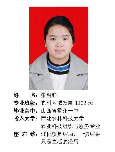 我院2017年考研形势喜人 564名同学达国家线