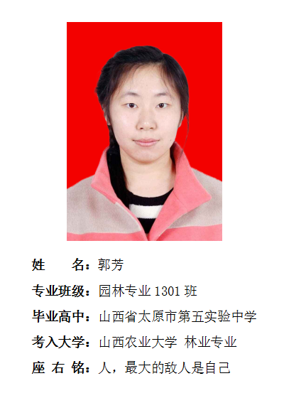 我院2017年考研形势喜人 564名同学达国家线