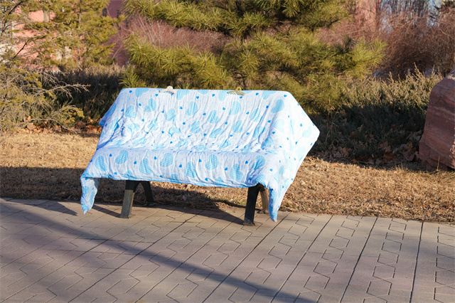 春来学子归，你好，新学期！