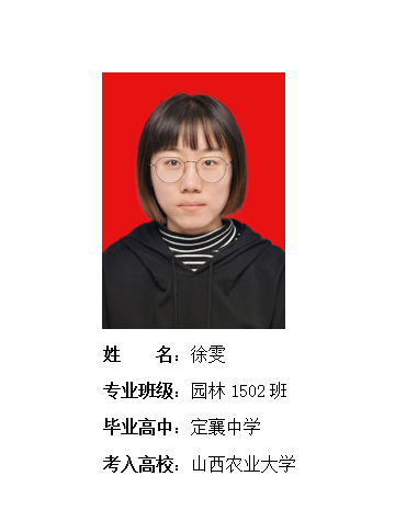 我校2019年考研形势喜人 261名同学被高校录取