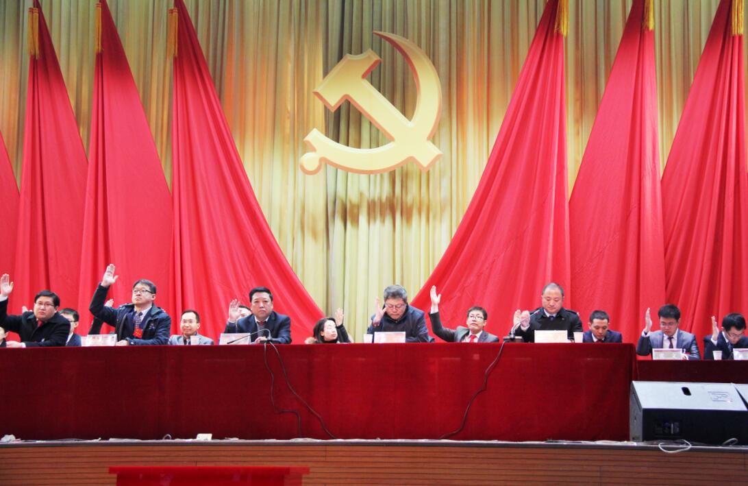 我院第二次党员大会隆重召开