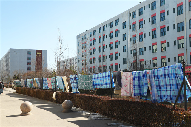 春来学子归，你好，新学期！