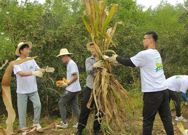 吹响丰收“集结号”，信院学子与亿万中国农民共庆丰收！