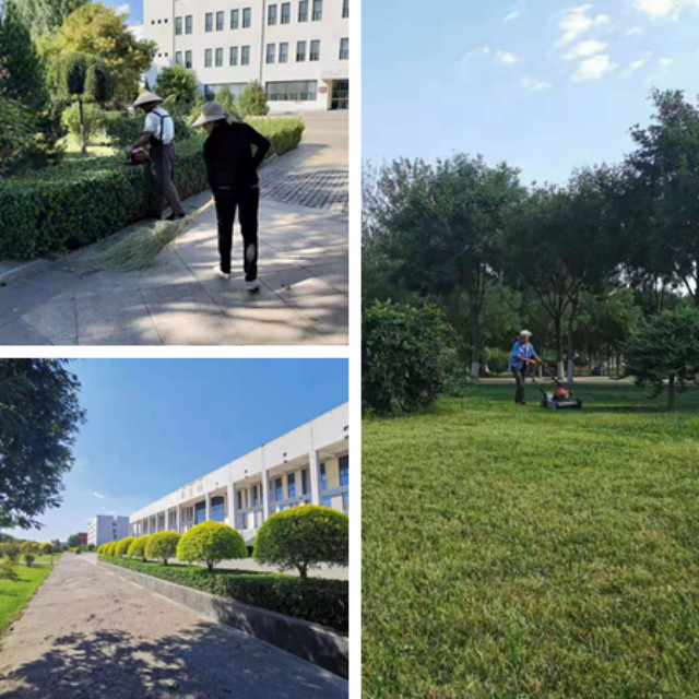 【2019迎新季】抱诚守真 做足准备 迎接2019级新同学