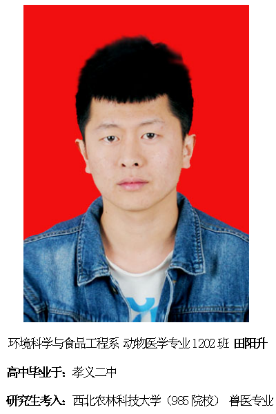 热烈祝贺我院2016届毕业生考研录取率再创新高315位学子考取硕士研究生