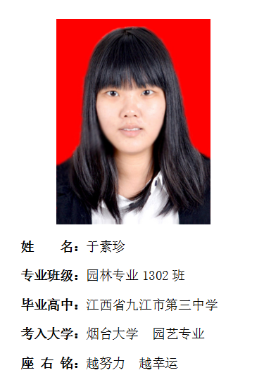 我院2017年考研形势喜人 564名同学达国家线