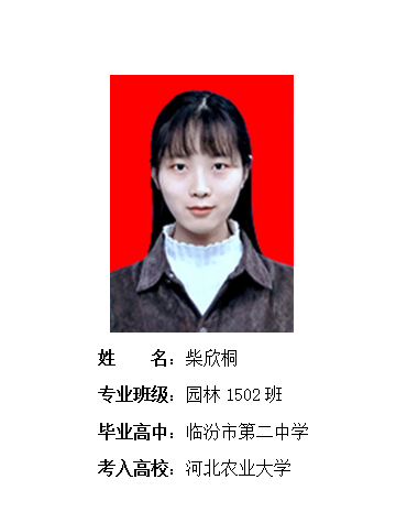 我校2019年考研形势喜人 261名同学被高校录取