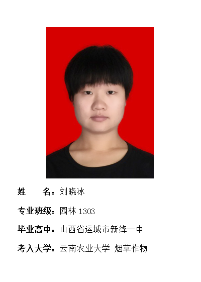 我院2017年考研形势喜人 564名同学达国家线