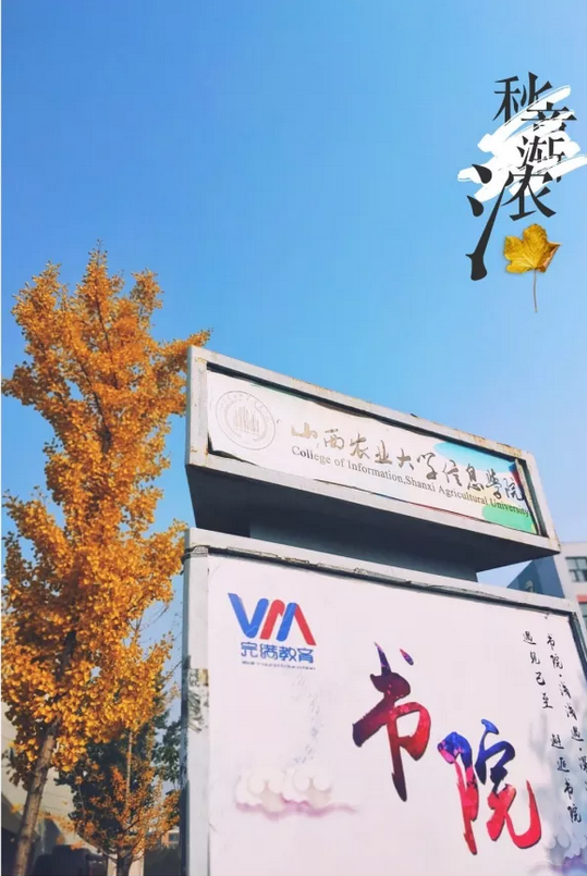 请你到信院的“秋”里来