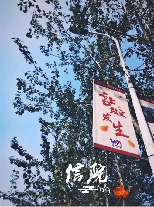 请你到信院的“秋”里来