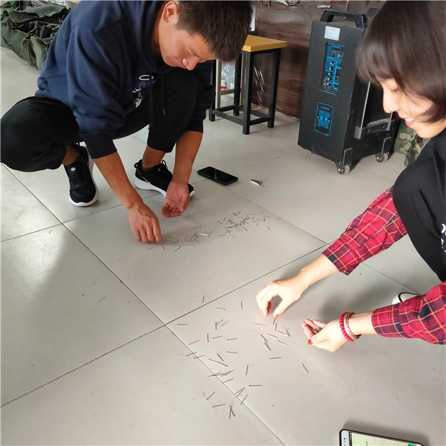 我校学子在攀岩挑战赛喜获全国冠军