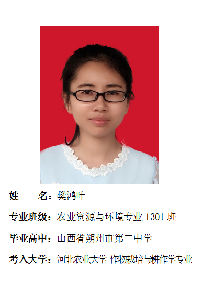 我院2017年考研形势喜人 564名同学达国家线