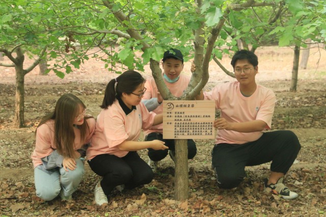 嗨!社区劳动体验不重样,你的专属山楂果林开园啦