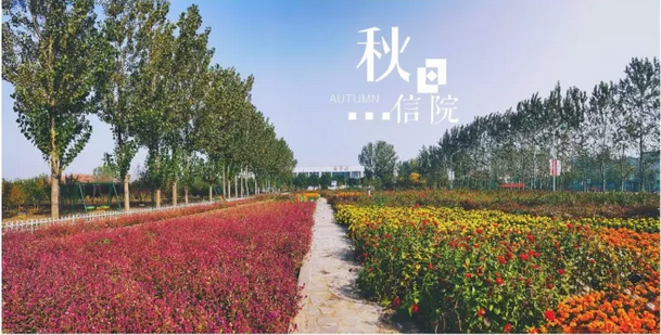 请你到信院的“秋”里来