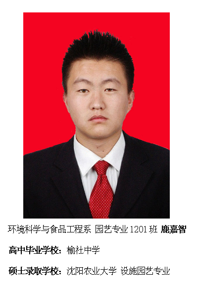 热烈祝贺我院2016届毕业生考研录取率再创新高315位学子考取硕士研究生