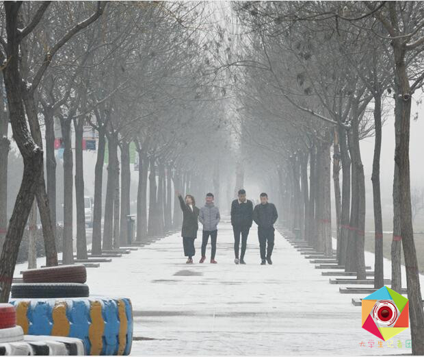 一片玉尘撩人心——记信院2016初雪